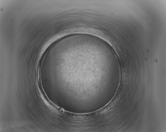 X0000085751515200703301349