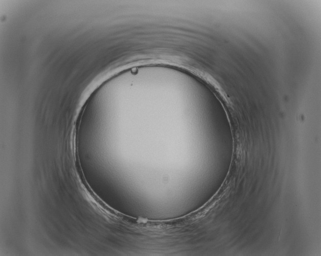 X0000085751516200703301349