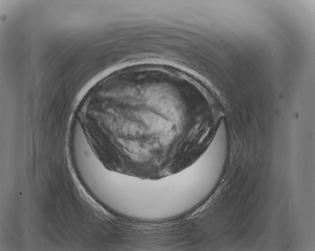 X0000085751518200703301349