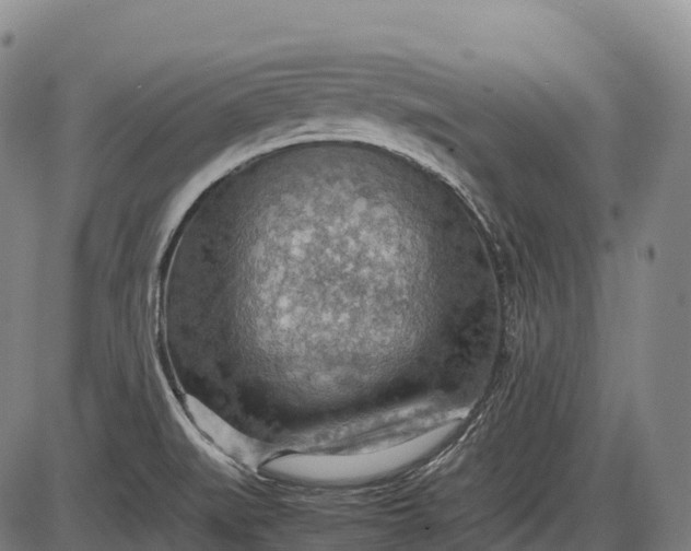 X0000085751519200703301349