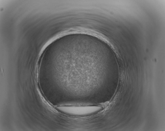 X0000085751522200703301349