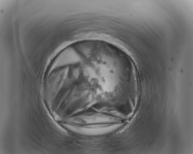 X0000085751525200703301349