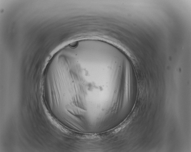 X0000085751526200703301349