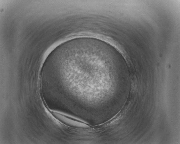 X0000085751527200703301349