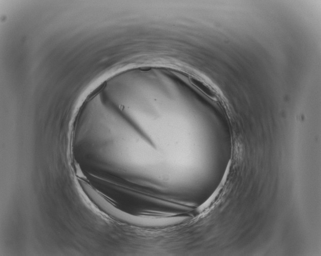 X0000085751528200703301349