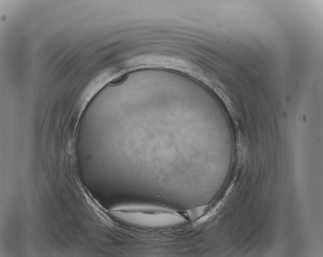 X0000085751529200703301349