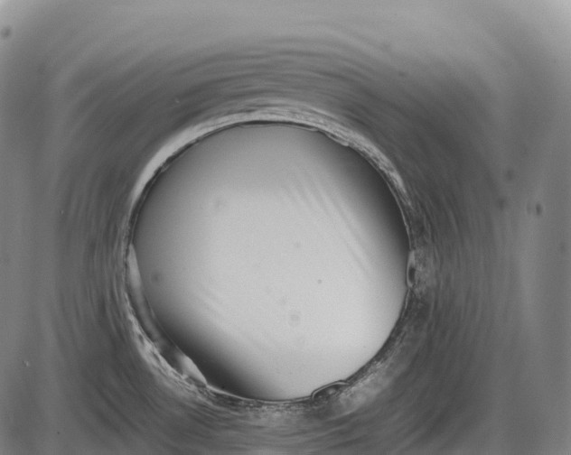 X0000085751530200703301349