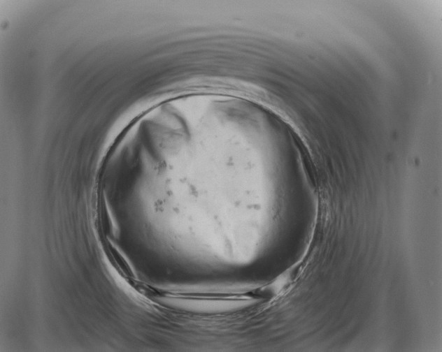 X0000085751531200703301349