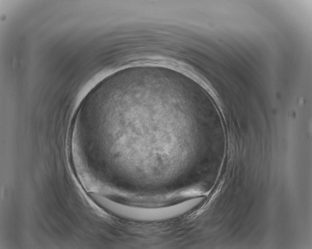 X0000085751533200703301349