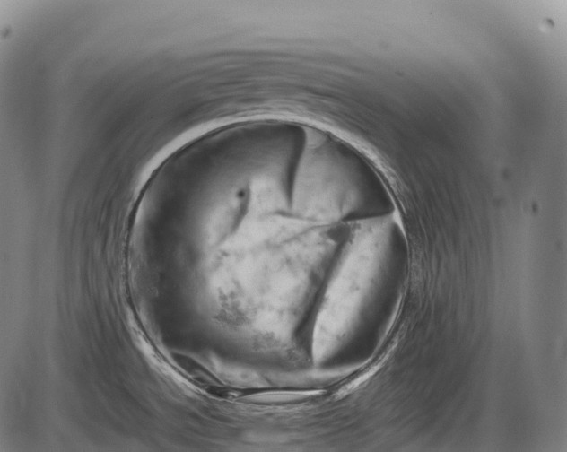 X0000085751534200703301349