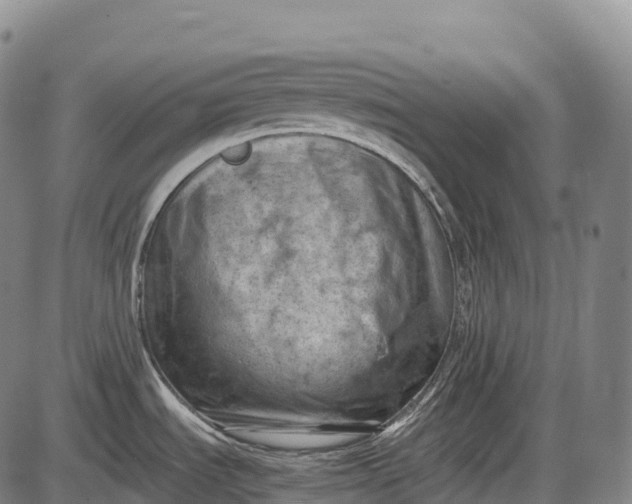 X0000085751535200703301349