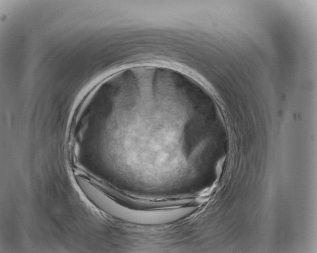 X0000085751536200703301349