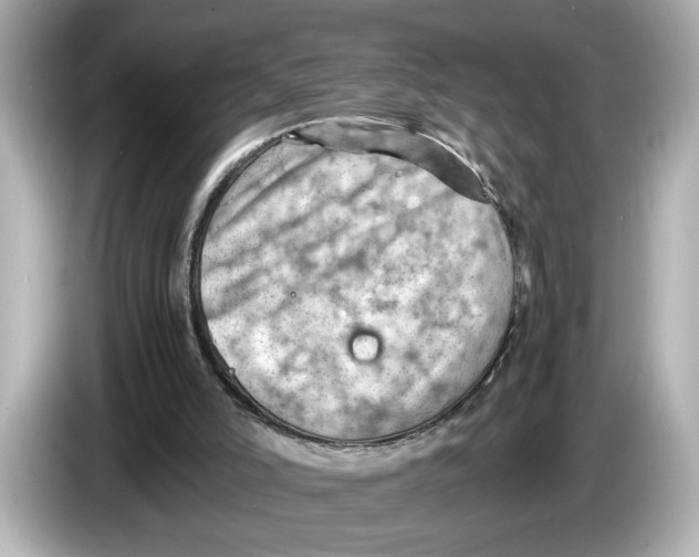 X0000085750006200704091324