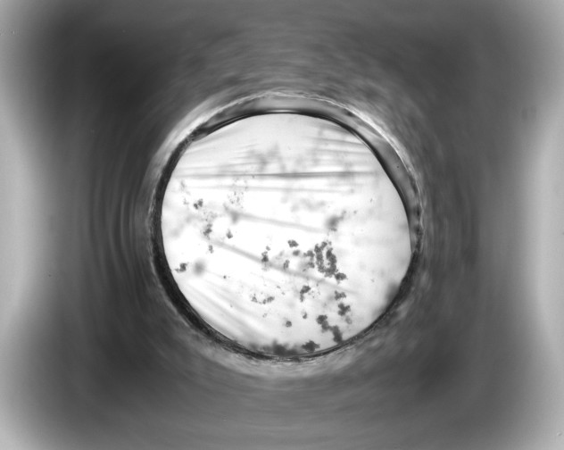 X0000085750007200704091324