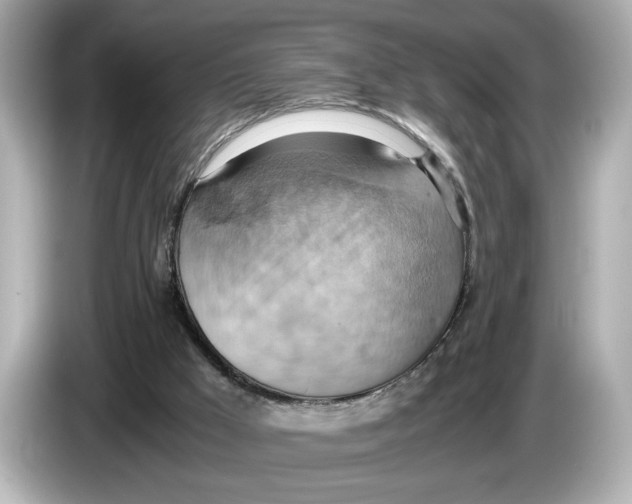 X0000085750009200704091324