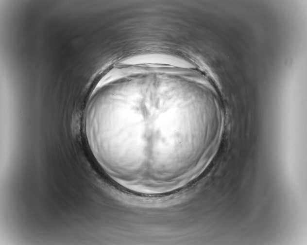 X0000085750010200704091324