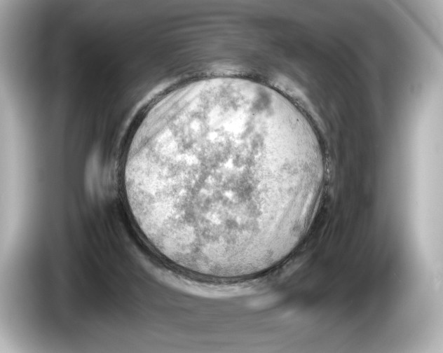 X0000085750012200704091324