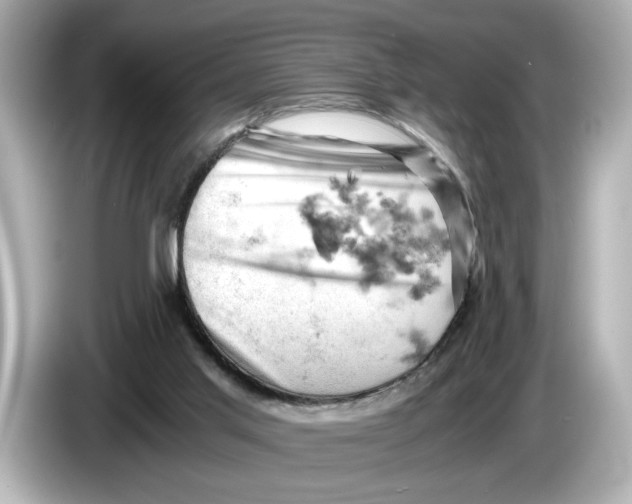 X0000085750013200704091324