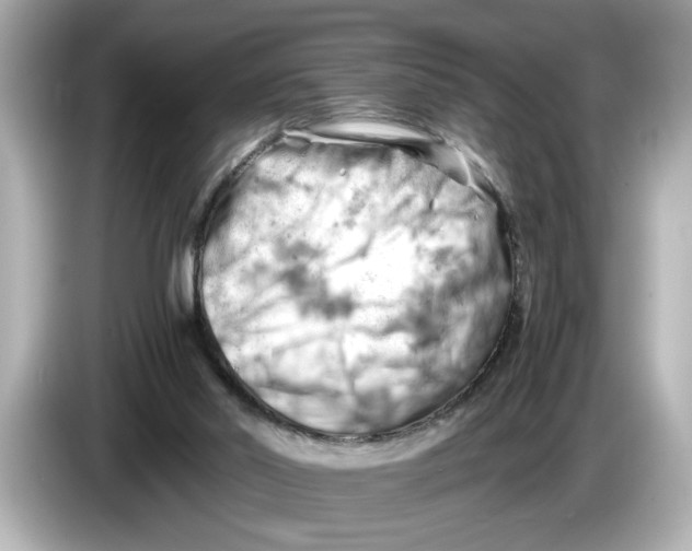 X0000085750014200704091324