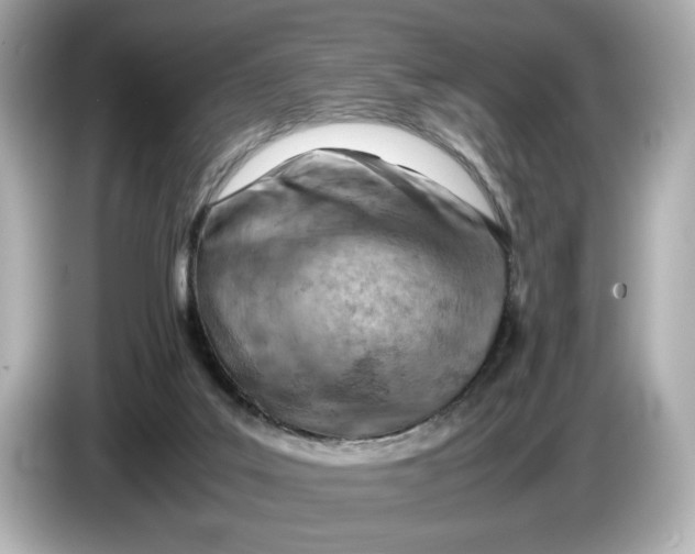 X0000085750019200704091324