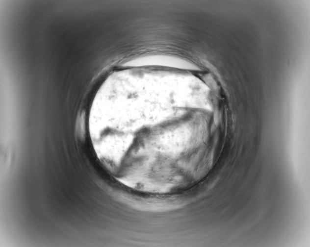 X0000085750020200704091324