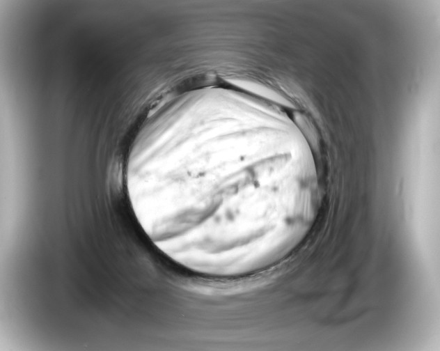 X0000085750021200704091324