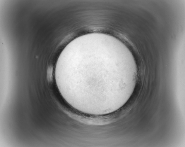 X0000085750024200704091324