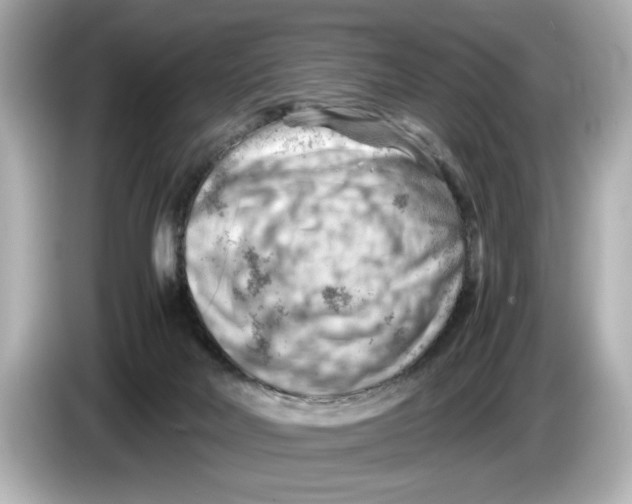 X0000085750026200704091324