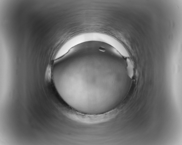 X0000085750027200704091324