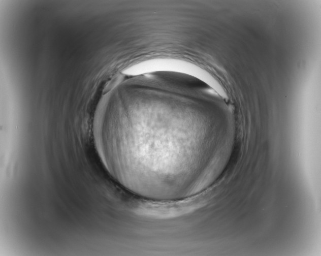 X0000085750029200704091324