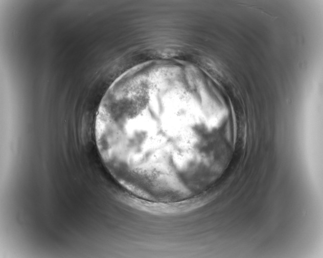 X0000085750030200704091324