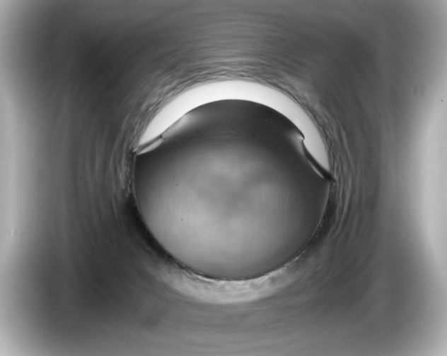 X0000085750031200704091324