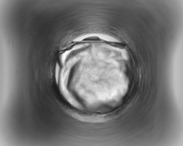 X0000085750032200704091324