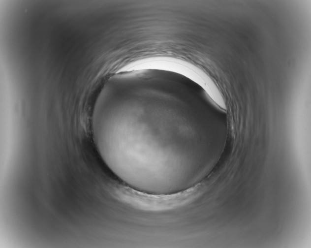 X0000085750035200704091324