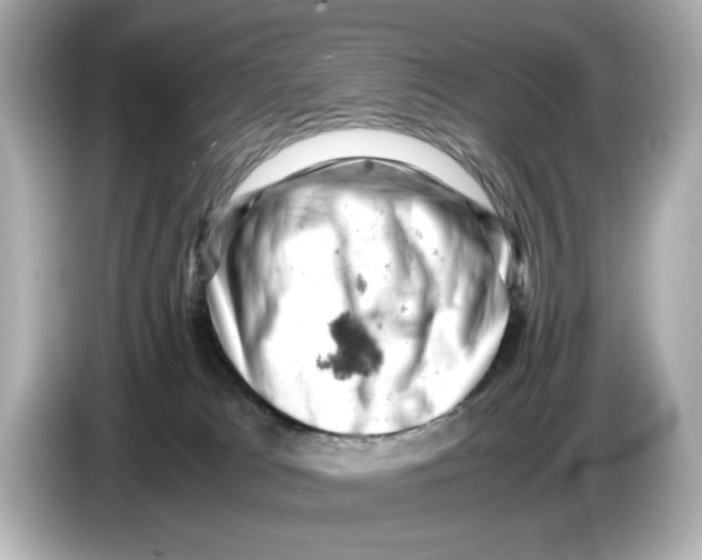 X0000085750037200704091324