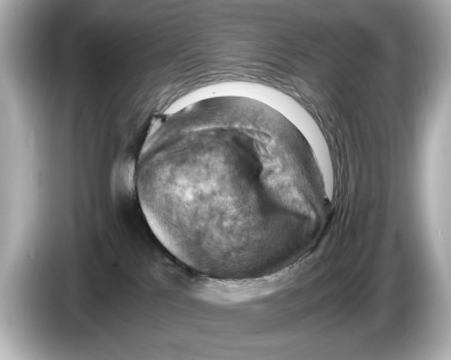 X0000085750041200704091324