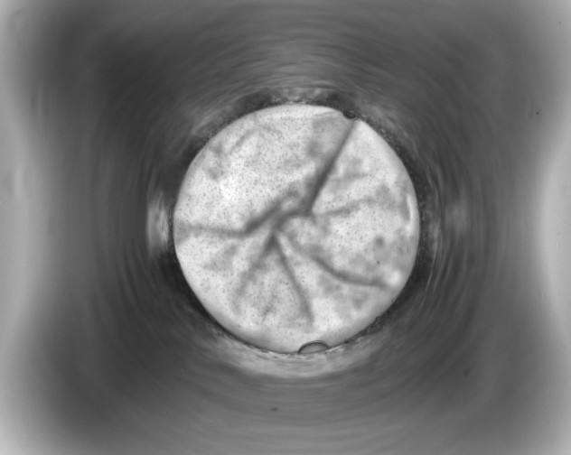 X0000085750042200704091324