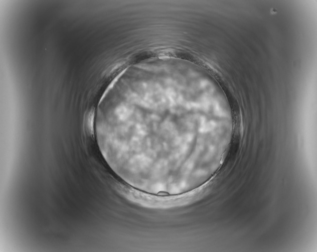 X0000085750047200704091324