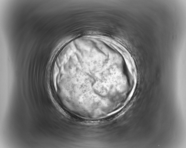 X0000085750049200704091323