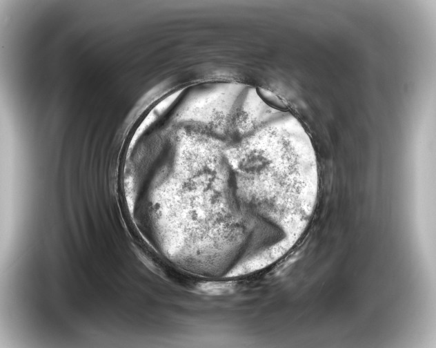 X0000085750051200704091323