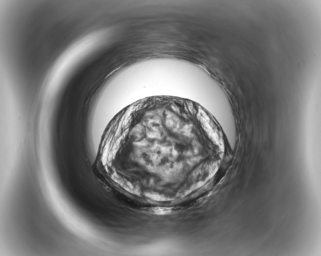 X0000085750052200704091323