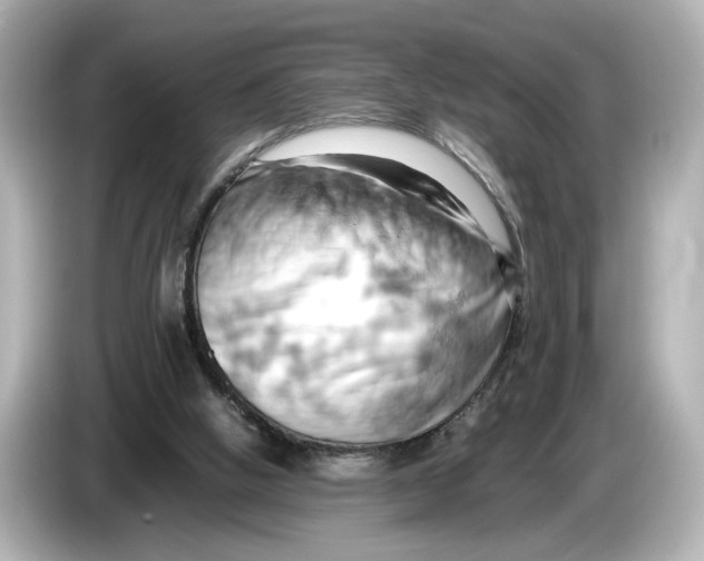 X0000085750058200704091323