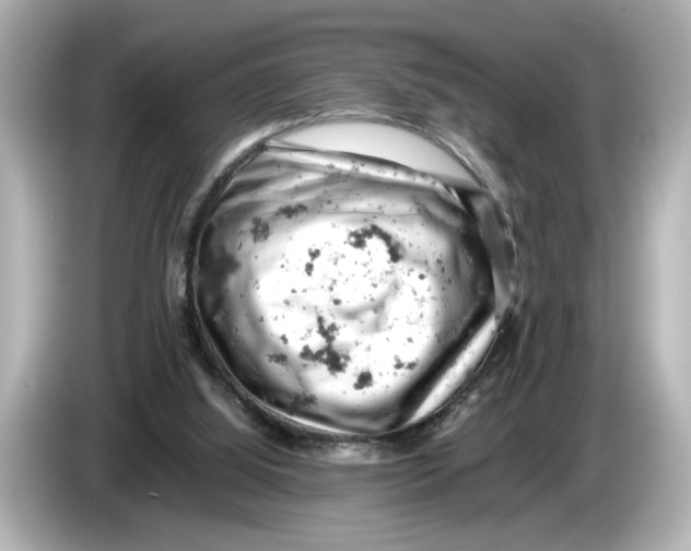 X0000085750060200704091323