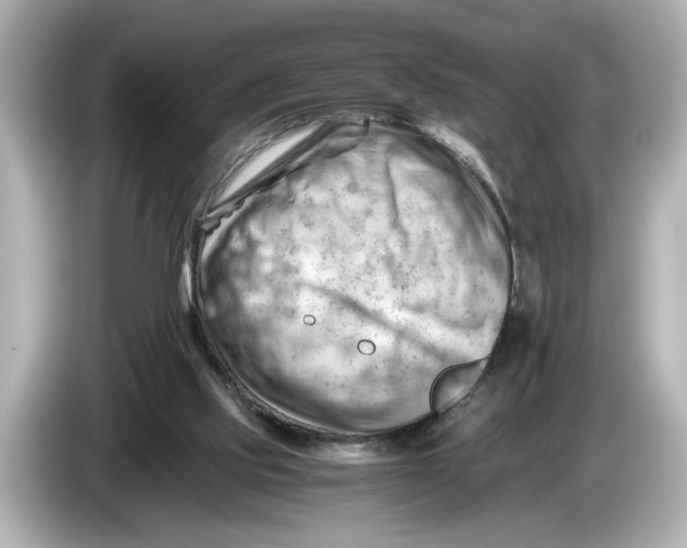 X0000085750061200704091323