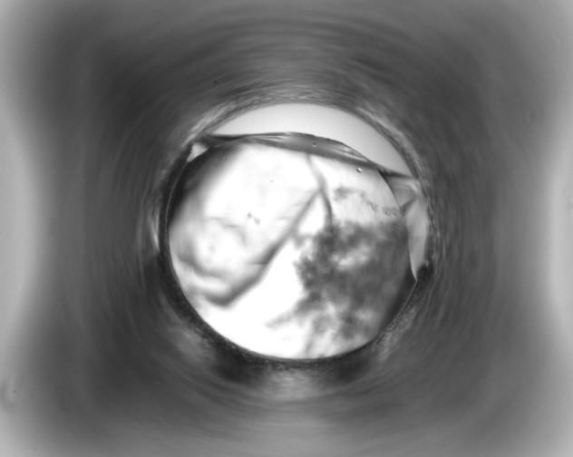 X0000085750062200704091323