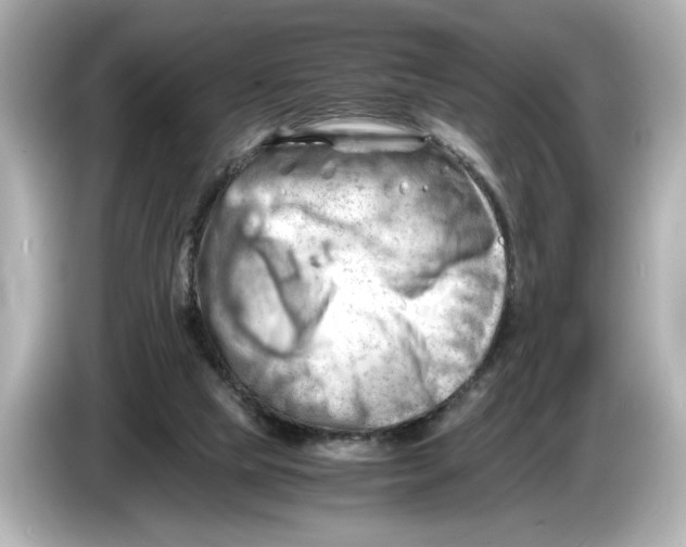 X0000085750065200704091323