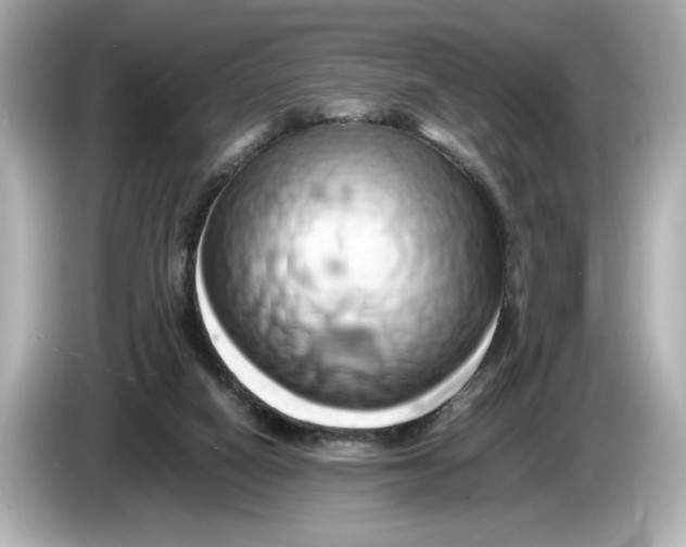 X0000085750066200704091324