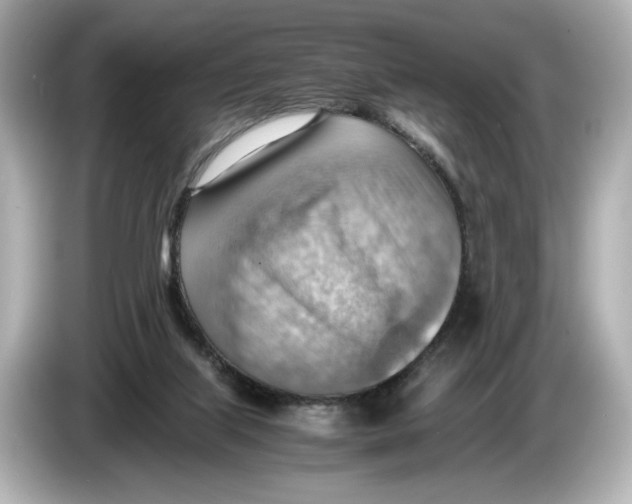 X0000085750067200704091324