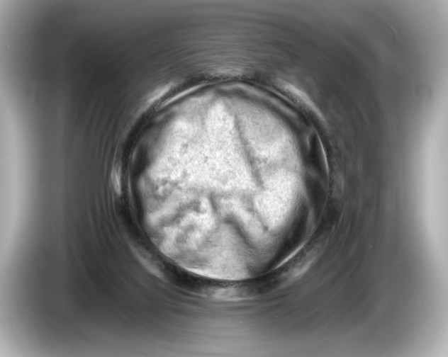 X0000085750068200704091324