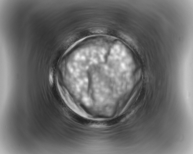 X0000085750069200704091324